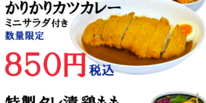 JR茨木のラーメン・つけ麺「自家製麺・らーめん屋一心」カツカレー・から揚げカレー
